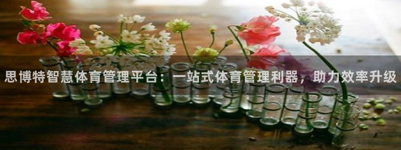 必一体育网页登陆：思