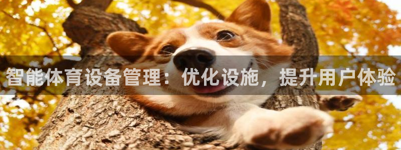 必一运动体育