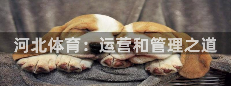 必一体育下载登入