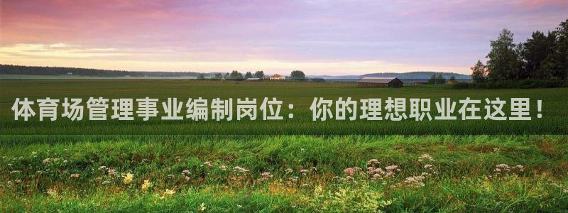 必一体育官方app下