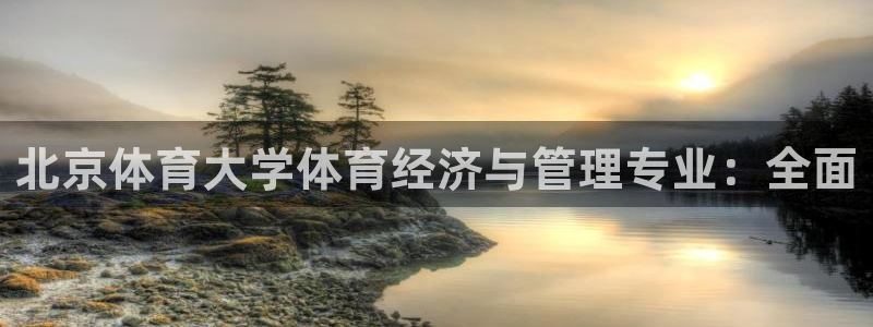 必一体育sport装