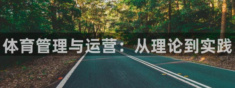 必一体育网站