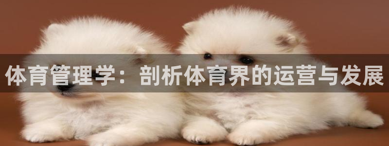 必一体育官方入口：体