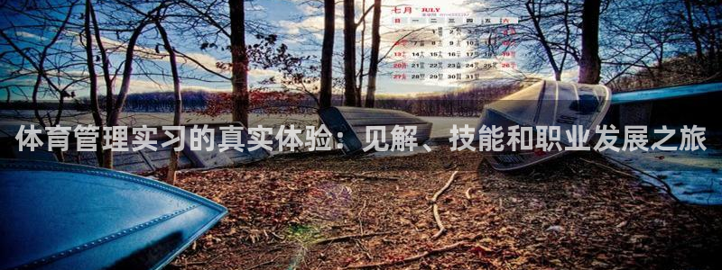 必一体育sport网页版