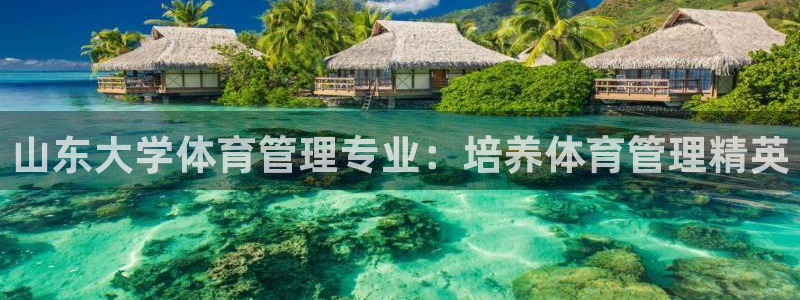 必一体育验证码