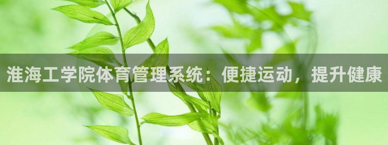 必一体育下载app下载