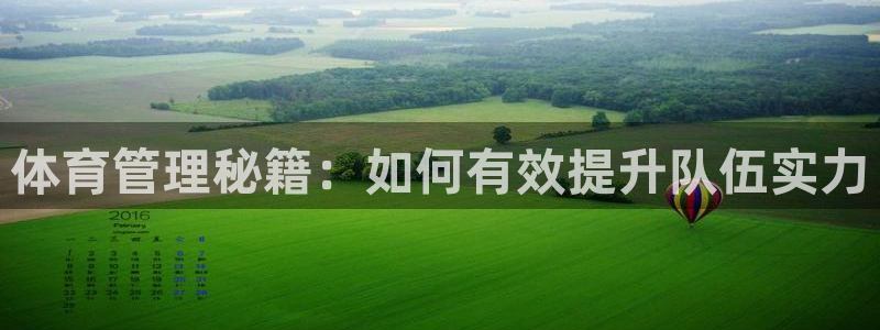 必一体育网页登录版官网