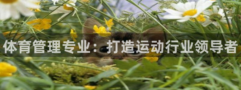 必一体育登陆