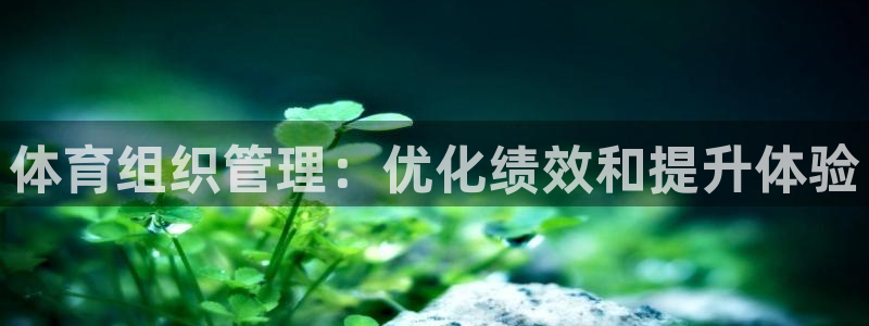 必一体育可靠吗