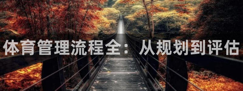 必一体育登录入口