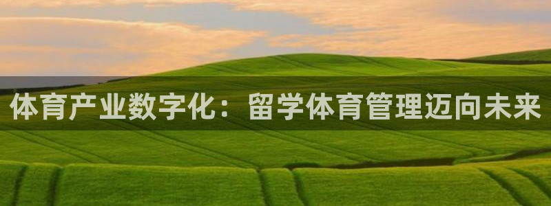 必一体育最新官网入口首页