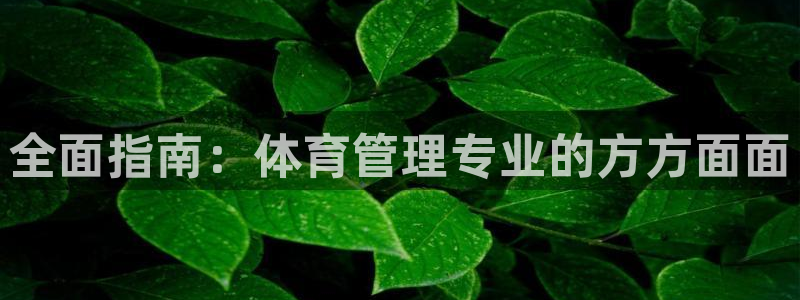 必一体育黑平台：全面