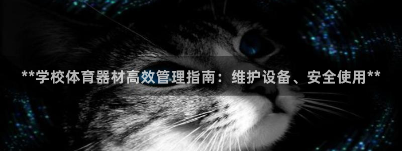 必一体育官方下载入口