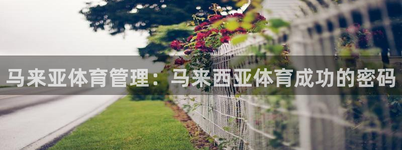 必一运动·(B-Sports)