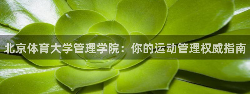 必一体育下载app下载