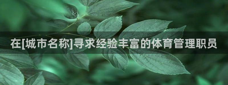 必一体育下载移动版：