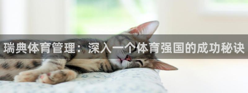 必一体育是啥