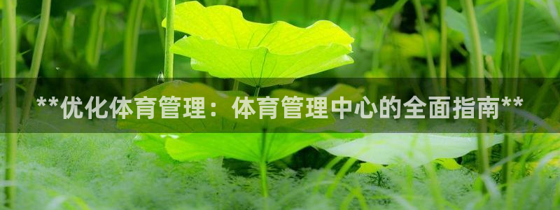必一体育app平台下