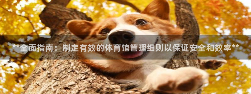 必一体育官网入口：*