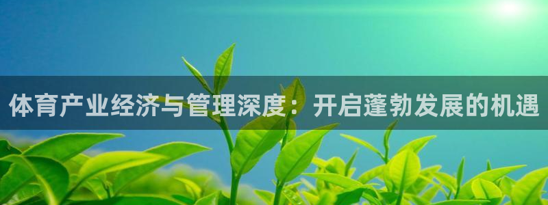 必一体育运动平台官网