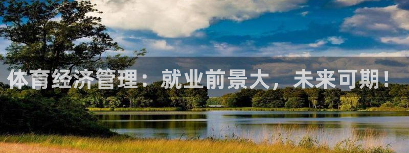 必一体育官网app