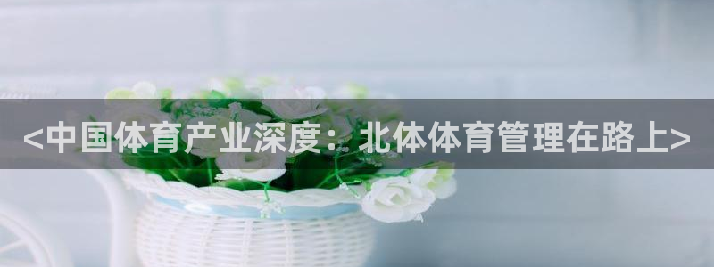 必一体育sport官