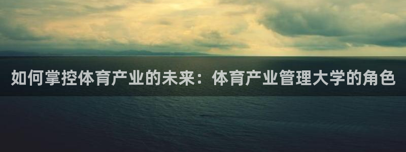 必一体育app平台下