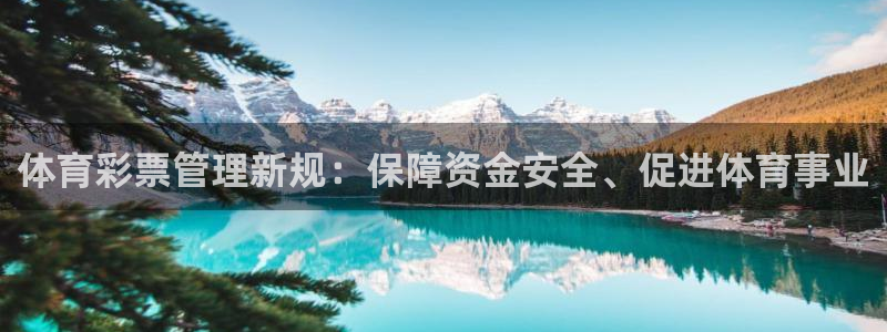 必一运动体：体育彩票