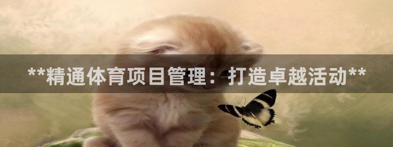 必一体育登录入口：*