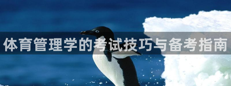 必一体育最新官网入口
