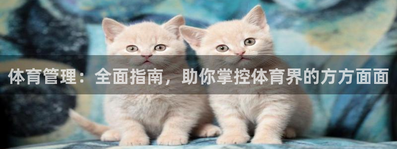 必一体育能提现大金额吗