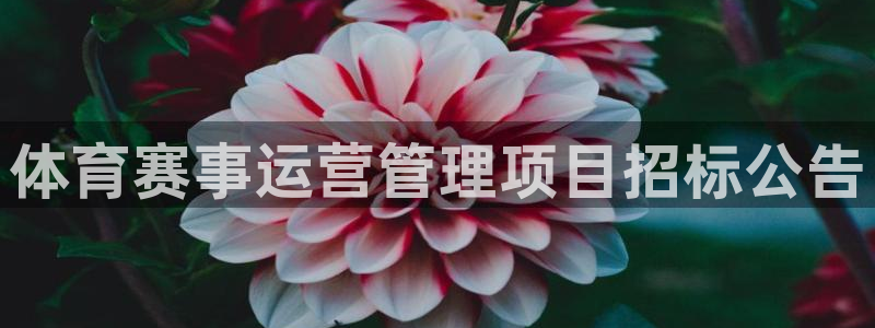 必一体育秀给网