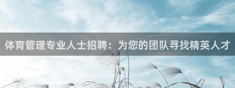 必一体育运动app下