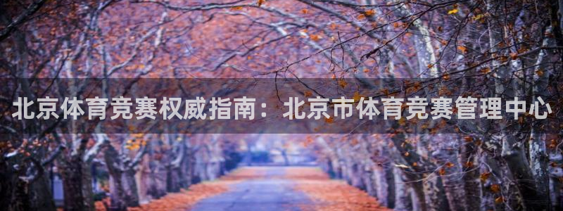 必一体育旧版：北京体