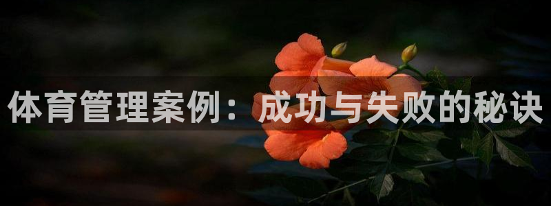 必一体育能提现大金额
