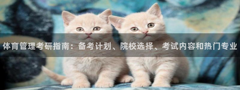 必一体育游戏玩法：体