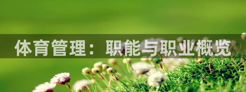 必一体育网页版登录
