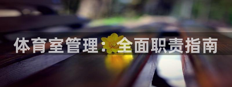 必一体育sportB