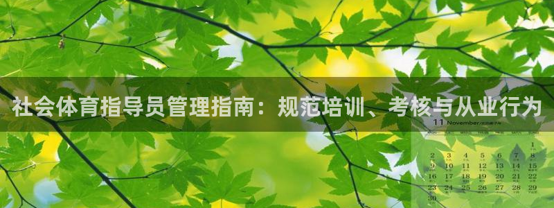 必一运动官网装机吧