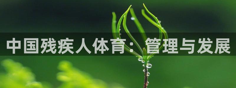 必一体育sport网页版