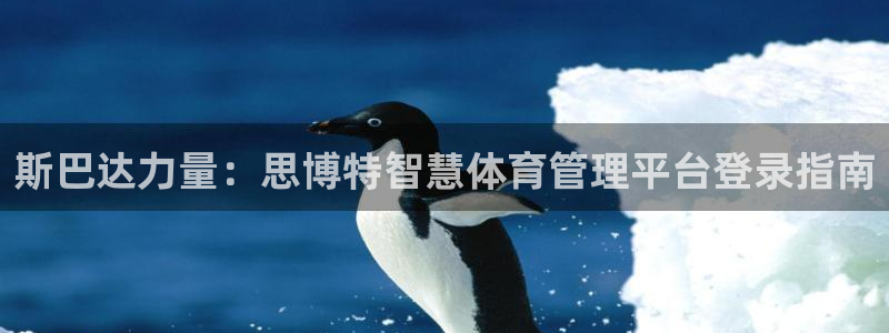 必一运动体育官网