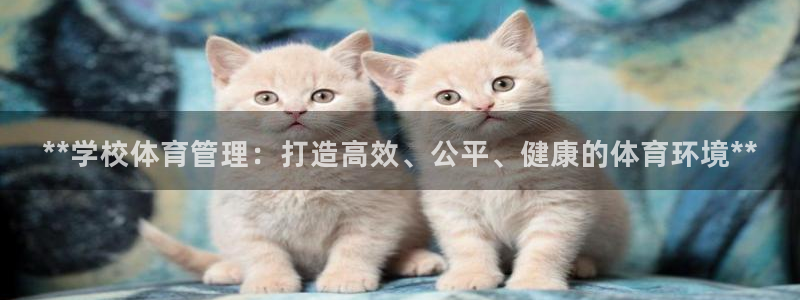 必一体育官方入口