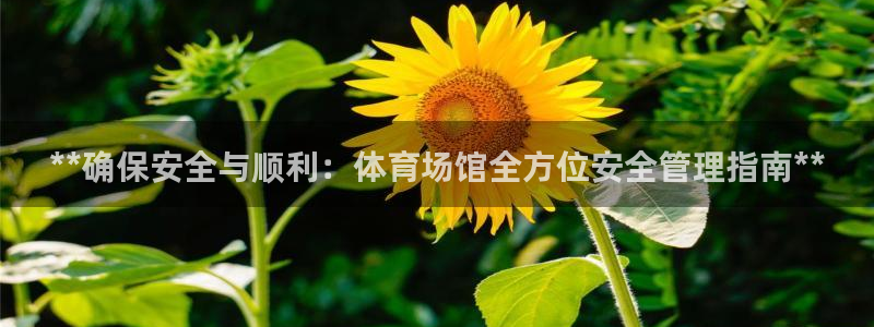 必一体育下载移动版：