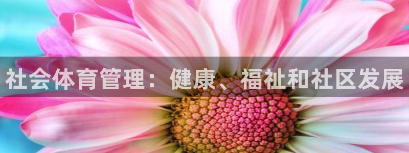 必一体育官网入口