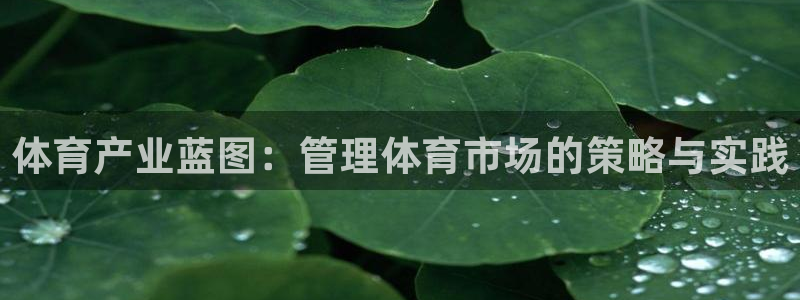 必一体育网页版登录：