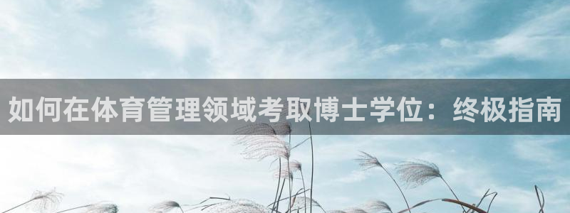 必一体育网站：如何在