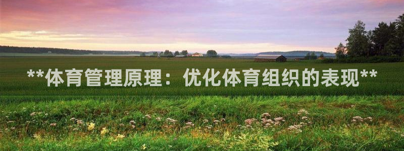 必一体育app官方下