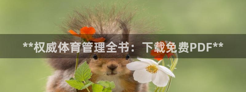 必一体育电子app：