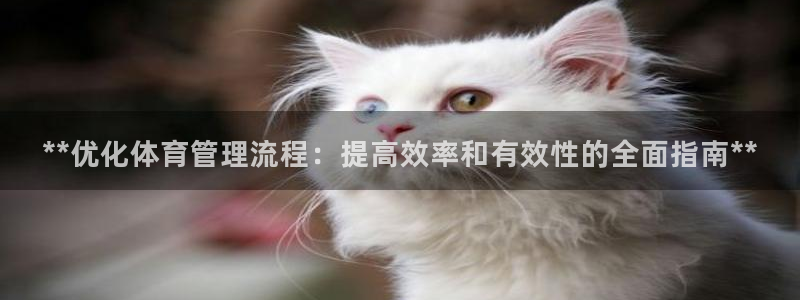 必一运动bsport
