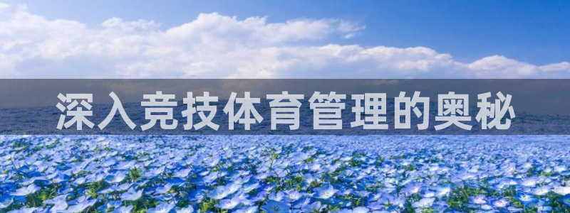 必一体育官网app：